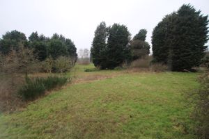 View towards Golf Course- click for photo gallery